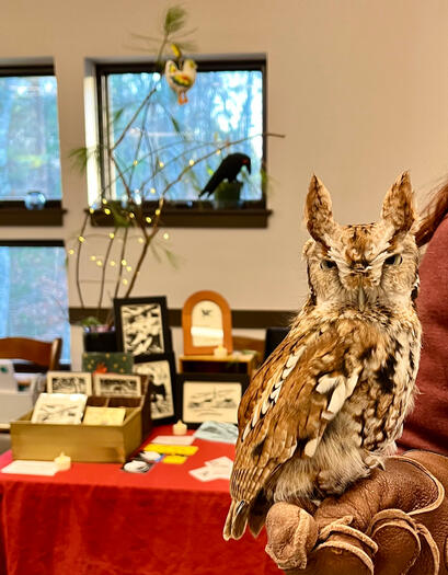 Lucy the screech owl stopping by my table at CFW!!