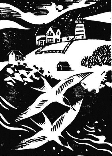 Terns at Nubble Lighthouse, 2023
