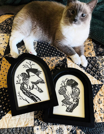 Hildy shows off the arch frame linoprints!