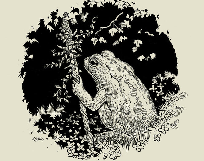 Pen & ink commission, 2020